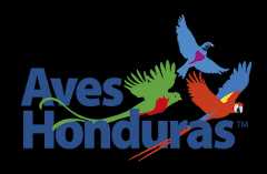 Aves Honduras