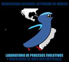 Laboratorio de Procesos Evolutivos y Diversidad de Aves Neotropicales