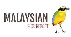 Malaysian Bird Report