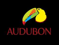 Audubon Panamá