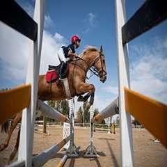 تصاویر: مسابقات منطقهای پرش با اسب در قم