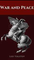 Napoleon Illustration used as book cover