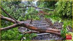 සියලුම දුම්රිය ධාවනය අත්හිටුවයි