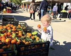 Baby Rocca picking fruit