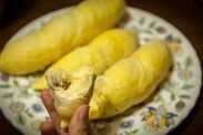 shot of eaten durian 