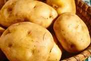 UK households asked to keep potatoes far away from other vegetables UK households asked to keep potatoes far away from any other vegetables in their kitchen