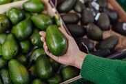 Households urged to remove avocados from fruit bowls Shopping avocado from local farmers market