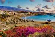 Tenerife, Canary Islands, Spain.