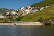 Yellow train passing in Douro railway 