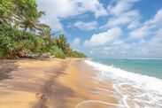 Sandy beach with green palm trees and blue sky
