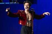 harry styles