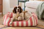 Pet-owners say their dogs 'absolutely love' Dunelm's 'well-made' pet bed and it's just £35