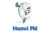 Hamsi FM (Espoo)