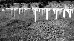 22933206292 Eb390d888b B