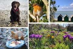 Readersgallery05032023