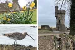 Readersgalleryfeatured