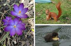 Readersgalleryfeatured26thmarch