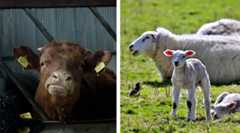 Readersgalleryfeatured21stapril