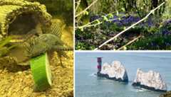 Readersgalleryfeatured30thapril