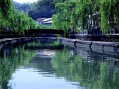 城崎温泉の写真