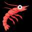 shrimp
