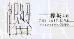 THE LAST LIVE グッズ