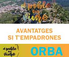 Orba