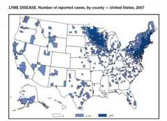Lyme disease reports in the US