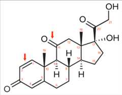 Numbering and highlighting the chemical structure of prednisone