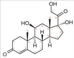 Numbering the cortisol chemical structure