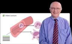 Video lecture mcat educator slides v2 min Mcat educator in blue shirt and tie with biology diagram