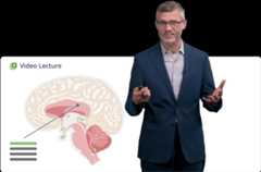 Man in suit lectures on brain anatomy with digital graphics.