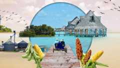 Los niños menonitas no conocen el miedo en Bacalar | Portada