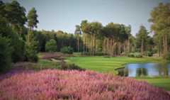 Queenwood golf hole pictured