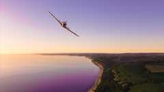 Best simulator games: a screenshot of a plan at sunset in the game Microsoft Flight Simulator.