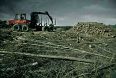 Farming equipment being used to create a log pile from felled trees