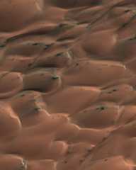 A false-color image of dark sand dunes at high northern latitudes on Mars that are covered seasonally by a layer of condensed carbon dioxide (dry ice), shown in this image. When the sun rises in the spring the ice begins to sublimate. Gas flow from the bo