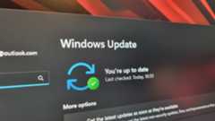 A photo of the Windows update menu, showing that I&#039;m all up to date