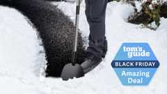 Walensee Snow Shovel