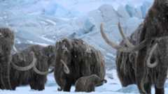 Prehistoric Planet Ice Age