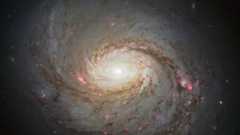 Hubble image of the spiral galaxy NGC 1068