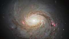 Hubble image of the spiral galaxy NGC 1068