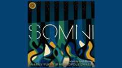 Snarky Puppy &amp; Metropole Orkest – Somni