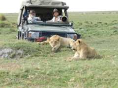 Filmmakers Dereck and Beverly Joubert, in their natural habitat, in Duba Plains camp, Botswana.