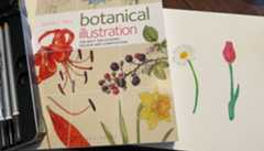 botanical illustration book next to two drawings of flowers