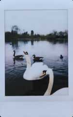 Sample image from the Fujifilm Instax Mini 12