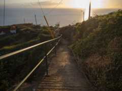 Olympus OM-D E-M10 Mark IV