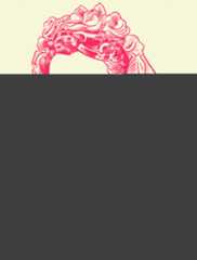 Travis Knight illustration