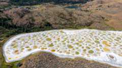 Aerial view of Spotted Lake in Canada. We see a white crust with shallow pools of yellow and greenish water.