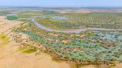 View of the Tarim River at the edge of China's Taklamakan Desert. We see waterways and vegetation on the river banks.